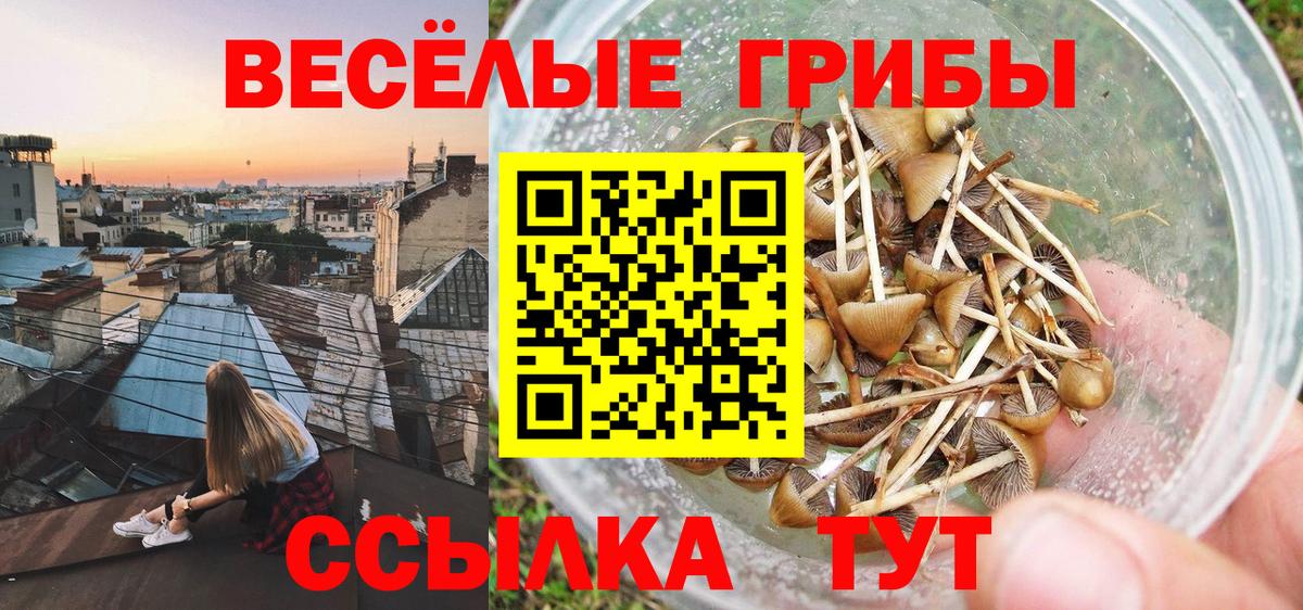 Галлюциногенные грибы ЛСД  Вход с VPN  наркошоп  Мончегорск 